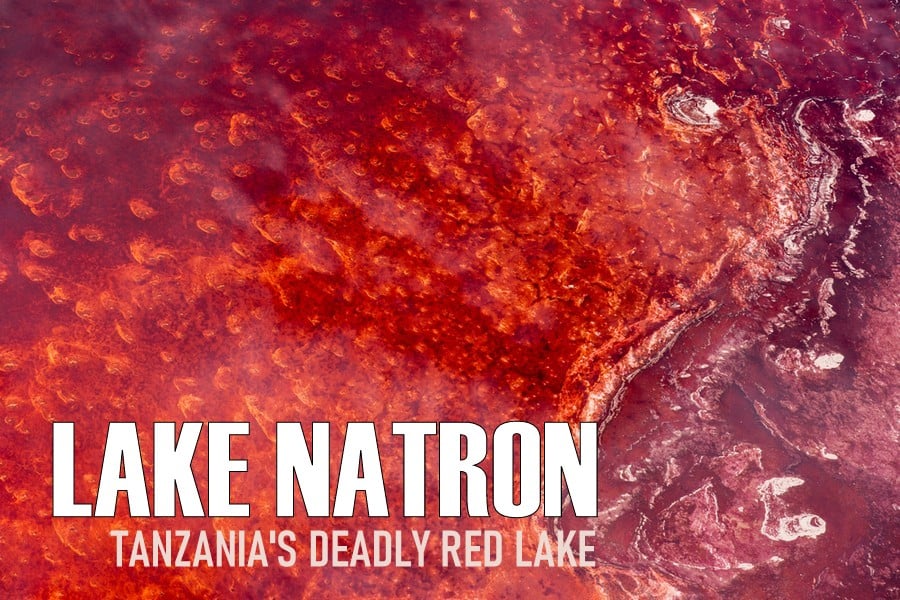 3. Lake Natron - पृथ्वी पर सबसे दुर्गम क्षेत्र