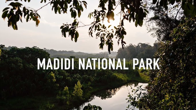 10. Madidi National Park – A Jungle Paradise
